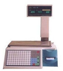 电子地磅